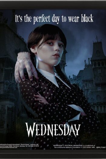 Wednesday Wednesday 3D Lenticular Framed Poster Perfect Day 26 x 20 cm
