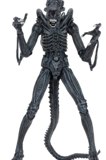 Aliens Ultimate Action Figure Warrior (1986) Blue 23 cm