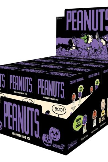 Peanuts Action Figure Blind Box Wave 7 Display (12)