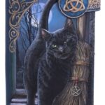 Lisa Parker Purse A Brush With Magick Embossed 19 cm