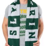 Harry Potter Scarf Slytherin