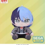 Hatsune Miku: Colorful Stage! Mysekai Plush Figure Toya Aoyagi (S) 13 cm