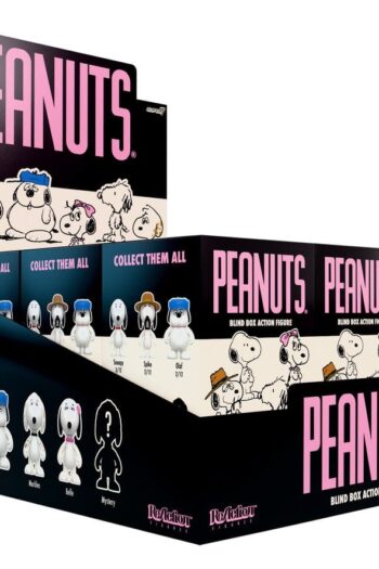 Peanuts ReAction Action Figures Snoopy's Siblings Wave 10 Blind Box 10 cm Display (12)