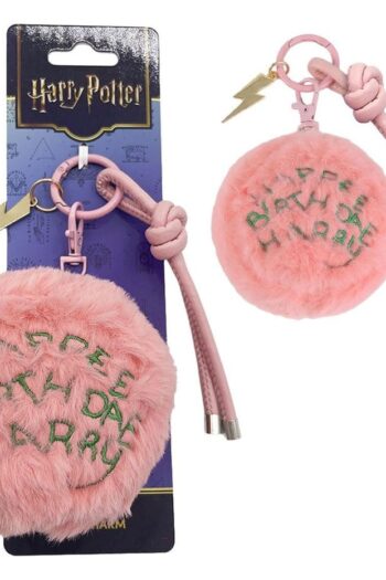 Harry Potter Charm Keyring