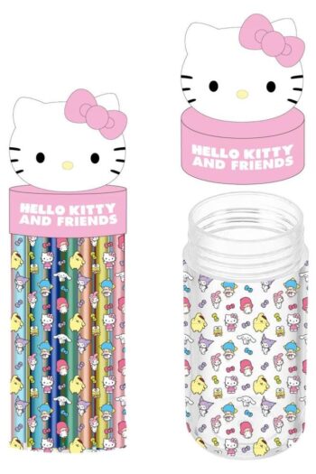 Sanrio Pencil Case with Accessories Hello Kitty