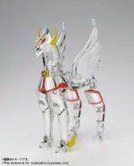 Saint Cloth Myth Pegasus Seiya 1st Bronze Cloth Revival Rerun by Bandai - immagine 9