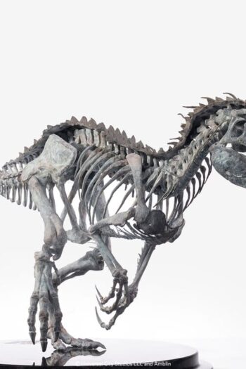 Jurassic World Statue 1/24 Indominus Rex Skeleton Bronze 24 cm
