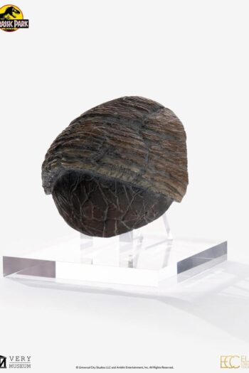 Jurassic Park 1/1 Replica Triceratops Toenail 16 cm