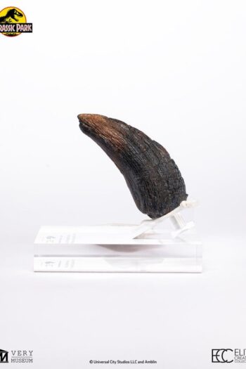 Jurassic Park 1/1 Replica Velociraptor Toenail Type A 11 cm