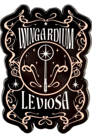 Harry Potter Magnet Wingardium Leviosa