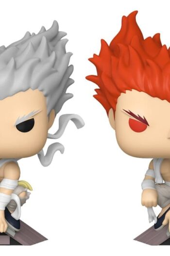 One Punch Man POP! Animation Vinyl Figures Garou with Chase 9 cm Assortment (6)
