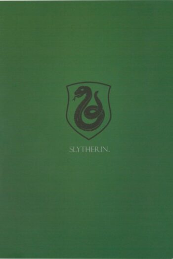 Harry Potter Softcover Notebook Slytherin 21 cm