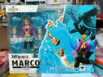 One Piece Marco La Fenice - Marineford - S.H.Figuarts by Bandai - whitebeard 2nd