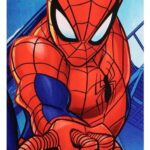 Marvel Towel Spider-Man A 25 x 35 cm