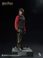 Harry Potter and the Goblet of Fire - Harry Potter 1/6 Collectible Figure by Inart - immagine 9